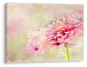 Tablou - Floare roz, aquarel (70x50 cm)