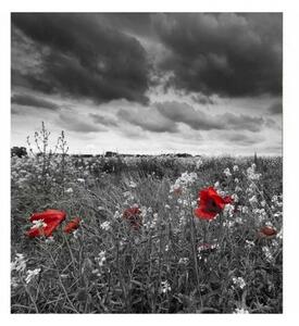 Fototapetă vlies maci albi și negri 225 x 250 cm