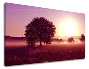 Tablou de perete WEST APUS DE SOARE - 20x30 cm