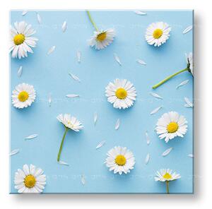 Tablou de perete WHITE FLOWERS_163-12 - 30x30 cm