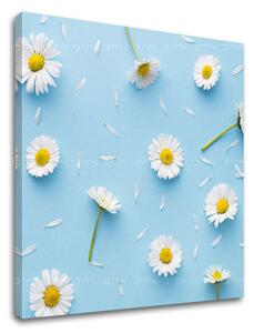 Tablou de perete WHITE FLOWERS_163-12 - 30x30 cm