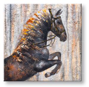 Tablou canvas 1 parte cal - 50x50 cm