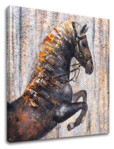 Tablou canvas 1 parte cal - 50x50 cm
