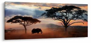 Tablou - Parcul Național Serengeti, Tanzania, Africa (120x50 cm)