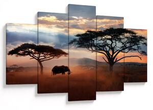 Tablou - Parcul Național Serengeti, Tanzania, Africa (150x105 cm)