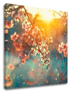 Tablou de perete STROMY_037-12 - 30x30 cm