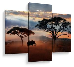 Tablou - Parcul Național Serengeti, Tanzania, Africa (90x60 cm)