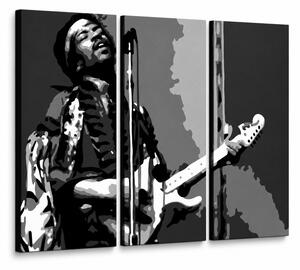 Tablou pictat manual POP Art Jimmy Hendrix 3 bucăți jh - 60x40 cm