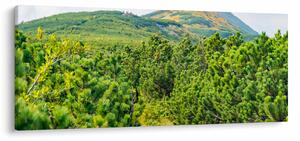 Tablou - Babi Hora, Polonia (120x50 cm)