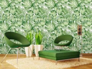Tapet vlies de lux frunze de ficus verzi