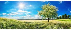 Fototapet panoramic vlies cu copac în pajiște 375 x 150 cm
