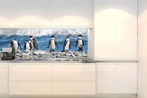 Fototapet pentru bucătărie - pinguini 180 x 60 cm
