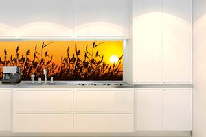 Fototapet pentru bucătărie - stuf 180 x 60 cm