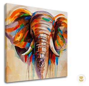 Reproducere pe pânză SLON - 40x40 cm