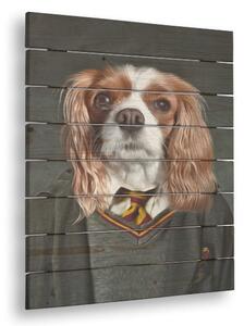 Tablou pe lemn portret de animal Harry - 40x55 cm - uniformă 1