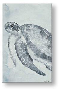 Tablou canvas BROASCĂ ȚESTOASĂ 1 - 40x60 cm