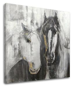Tablou canvas CAI 1 - 50x50 cm