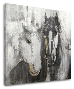 Tablou canvas CAI 1 - 70x70 cm