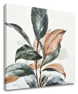 Tablou canvas FRUNZIŞ 1 - 50x50 cm