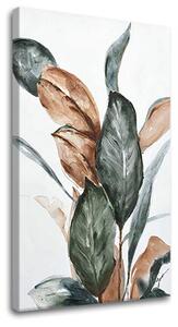 Tablou canvas FRUNZIŞ 1 - 60x80 cm