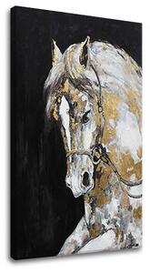 Tablou canvas PONEI 1 - 50x70 cm