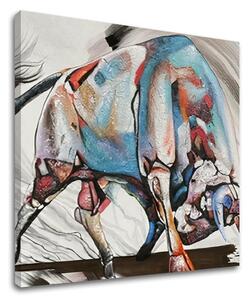 Tablou canvas BULL 1 parte XOBCHF2021-5-241E1 - 50x50 cm