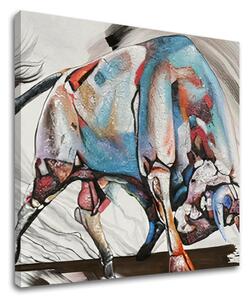 Tablou canvas BULL 1 parte XOBCHF2021-5-241E1 - 50x50 cm