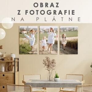 Tablou de perete din fotografie - 3 PARȚI - 60x40 cm
