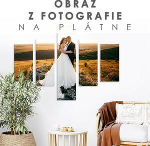 Tablou de perete din fotografie - 5 LUCRĂRI - 100x80 cm