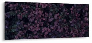 Tabou - Frunze roșu închis (120x50 cm)