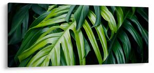 Tablou - Frunze tropicale (120x50 cm)