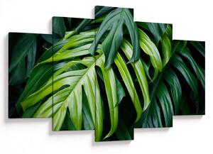 Tablou - Frunze tropicale (150x105 cm)