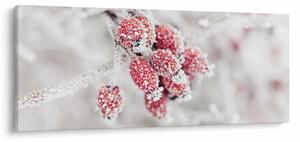 Tablou - Fructe congelate (120x50 cm)
