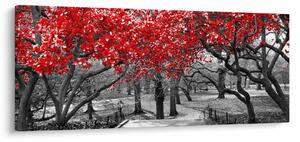 Tablou - Copaci roșii, Central Park, New York (120x50 cm)