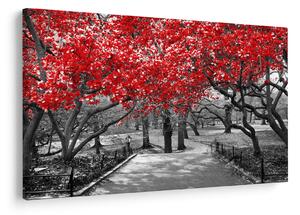 Tablou - Copaci roșii, Central Park, New York (90x60 cm)