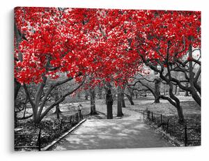 Tablou - Copaci roșii, Central Park, New York (70x50 cm)