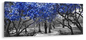 Tablou - Copaci albaștri Central Park, New York (120x50 cm)