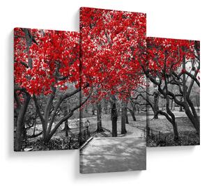 Tablou - Copaci roșii, Central Park, New York (90x60 cm)