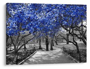Tablou - Copaci albaștri Central Park, New York (70x50 cm)