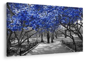 Tablou - Copaci albaștri Central Park, New York (90x60 cm)