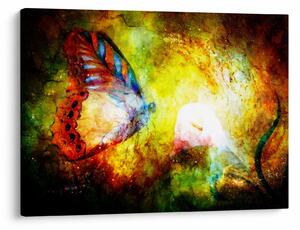 Tablou - Fluture spațial (70x50 cm)