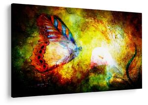 Tablou - Fluture spațial (90x60 cm)