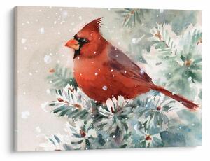 Tablou - Cardinal (70x50 cm)