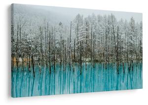 Tablou - Pescărie turcoaz, Biei, Japonia (90x60 cm)