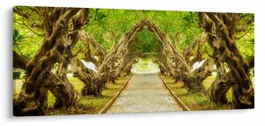 Tablou - Tunel viu din plumeria (120x50 cm)