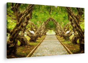 Tablou - Tunel viu din plumeria (90x60 cm)