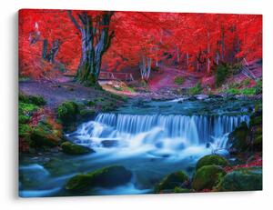 Tablou - Cascada în pădurea roșie (70x50 cm)