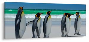 Tablou - Grup de pinguini regali (120x50 cm)