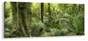 Tablou - Pădure tropicală (120x50 cm)