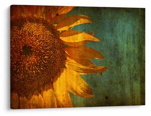 Tablou - Floarea soarelui (70x50 cm)